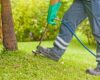 How to Ensure Your Property Stays Pest-Free with the Right Exterminators