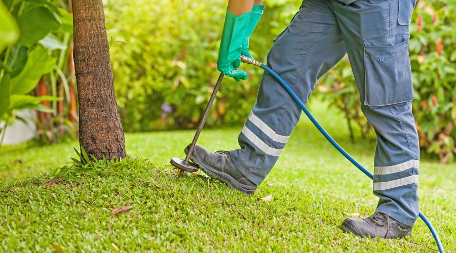 How to Ensure Your Property Stays Pest-Free with the Right Exterminators